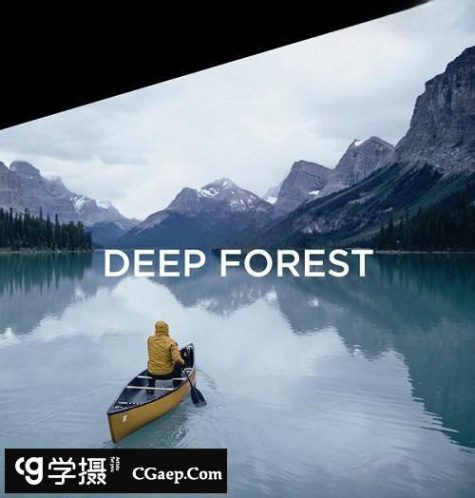 飞思Capture One样式 旅行森系冷色调Capture One预设 Deep Forest