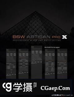 BW Artisan Pro X v1.1汉化版|Joel Tjintjelaar风光黑白明度蒙版扩展支持2022