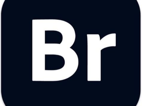 Bridge 2024破解版-Bridge 2024 for Mac(br2024) v14.0.0 Intel中文版