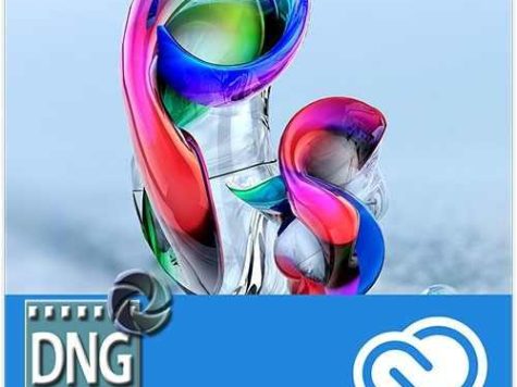 Adobe DNG 转换器 14.1 (x64)