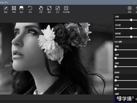 Picture Colorizer Pro V2.4.0 汉化版（AI智能黑白照一键上色软件）