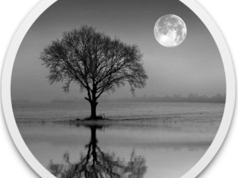 Reflect Studio for Mac(图片倒影特效制作软件) v3.1 支持M1