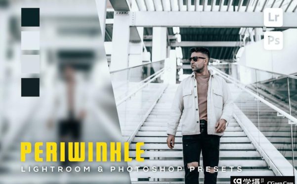 中性灰调街拍人像调色Lightroom预设Periwinkle Lightroom Presets