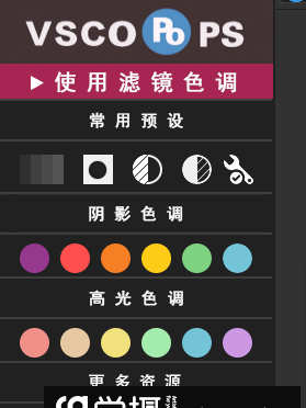 VSCO全滤镜PS调色插件面板|超全600多种VSCO胶片效果-mac系统