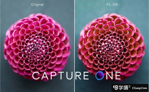 飞思Capture One样式下载- 经典电影胶片预设Capture One样式合集