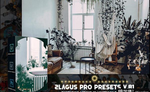 复古电影胶片后期调色Lightroom预设PRO Presets – V 81 – Photoshop & Lightroom
