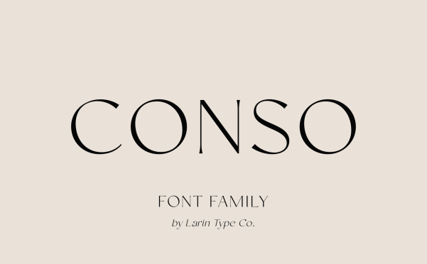 Conso 字体 标志字体 标识字体 标签字体 网页字体 优雅的字体