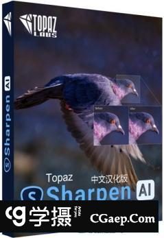 Topaz Sharpen AI 2.1.3汉化版|AI人工智能清晰锐化WINX64 支持PS2020