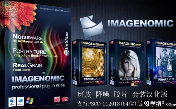 PS磨皮降噪插件套装 Imagenomic Professional Plugin 1706汉化版 WIN64