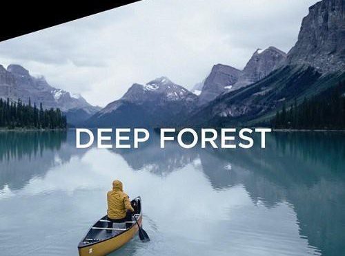 飞思Capture One样式 旅行森系冷色调Capture One预设 Deep Forest