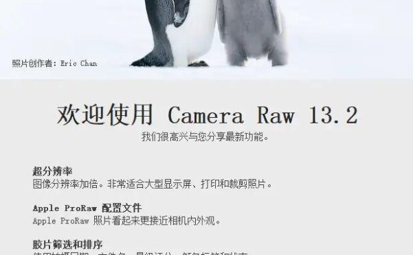 Adobe Camera Raw 13.2.0.738 WIN+MAC 2021完整版安装程序