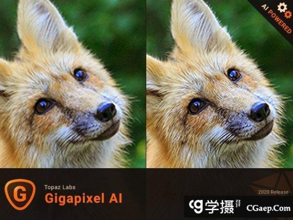 Topaz Gigapixel AI 6.1.0 (x64)无损照片放大处理软件下载