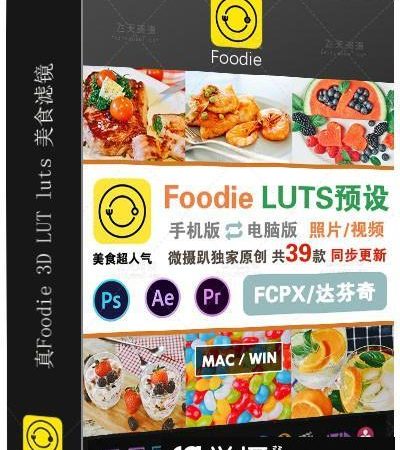 原创真Foodie转3D LUT luts 美食小清新滤镜PS PR AE fcpx/预设