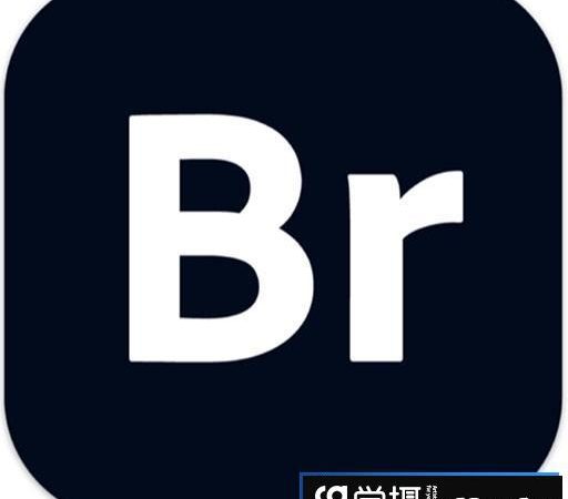Adobe Bridge 2024 for Mac(br2024) v14.0.1 Intel中文破解版