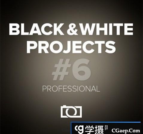 专业黑白滤镜Franzis BLACK WHITE projects 6 professional for mac 汉化版