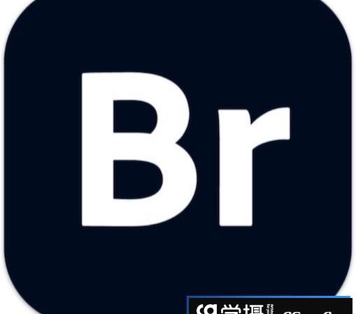 Adobe Bridge 2023 for mac (BR2023图像管理软件) v13.0.4中文版-支持M1