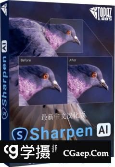 Topaz Sharpen AI V4.1.0汉化版|AI人工智能聚焦防抖清晰锐化PS插...