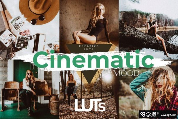 标志性电影情调PS/AE/PR/FCPX/达芬奇视频剪辑调色LUT预设