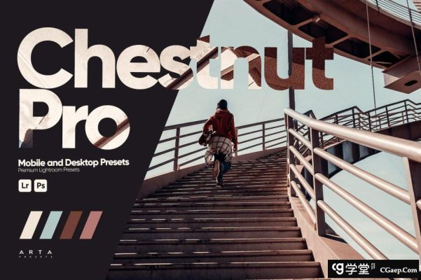 ARTA Presets- 栗色旅拍电影风光LR预设Chestnut Pro Presets for Lightroom