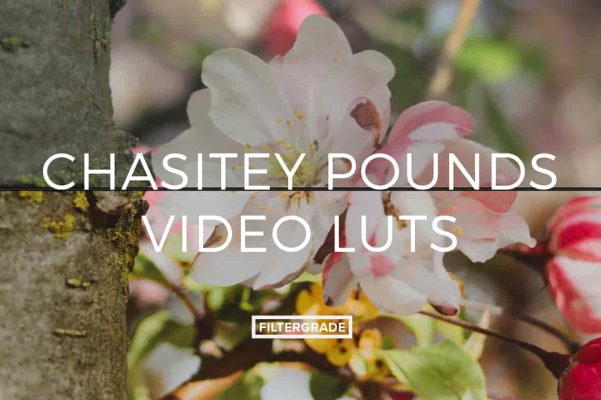 FilterGrade Chasitey Pounds Video LUTs