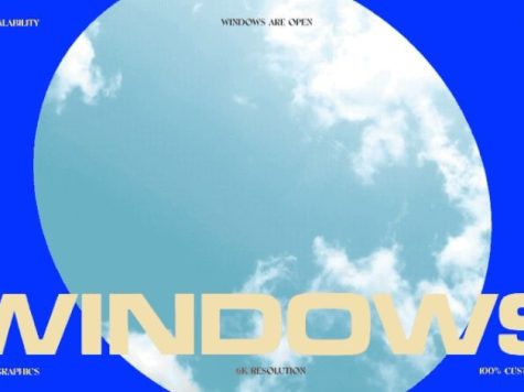 Ezra Cohen – Window