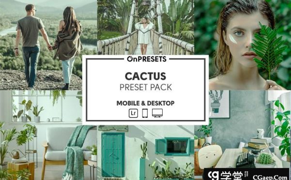 INS风格人像清新绿色调Lightroom预设 OnPresets -CACTUS