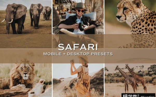 非洲旅拍人文风光后期调色Lightroom预设 Safari Lightroom Presets