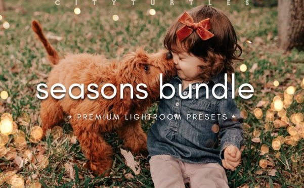 婴儿预设 自拍预设 婚礼预设SEASONS BUNDLE Lightroom 预设