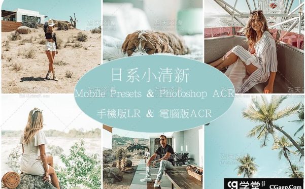 流行日系小清新Lightroom预设 Camera Raw ACR预设+手机版LR预设