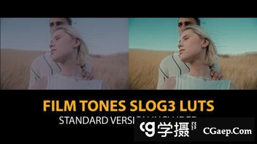 15个索尼Slog3电影大片胶片色调和15个标准Rec709 LUT调色预设