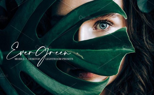 森系柔和电影胶片LR预设/手机LR预设 Evergreen Lightroom Presets