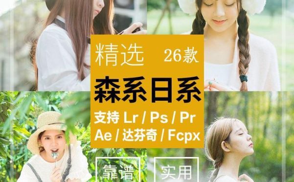 LR预设清新日系森系调色滤镜PR/PS/FCPX/达芬奇/AE/LUT预设