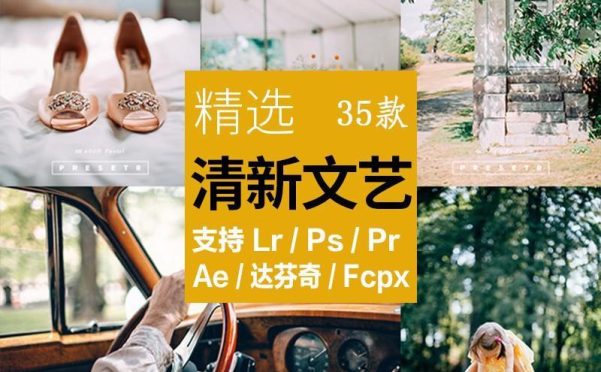 LR预设清新文艺日系森系滤镜PR/PS/FCPX/达芬奇/AE/Lut预设