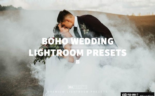 波西米亚浪漫婚礼LR预设BOHO WEDDING Mobile & Desktop Lightroom Presets