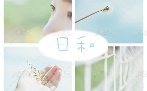 日系小清新Lightroom预设 日系LR预设