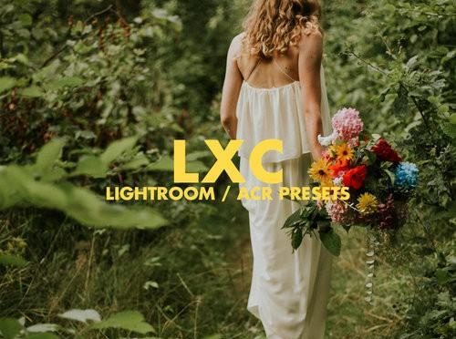 部落群岛LXC系列电影婚礼胶片LUT预设下载Tribe Archipelago LXC LUTs
