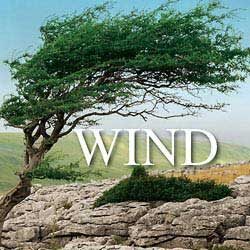 Sound Ideas Wind | 6.45 GB
