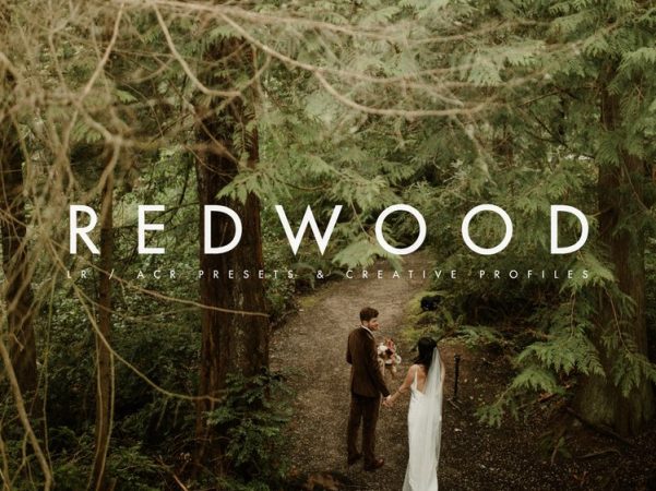 群岛 – 红木 lr婚礼预设 Archipelago – Redwood