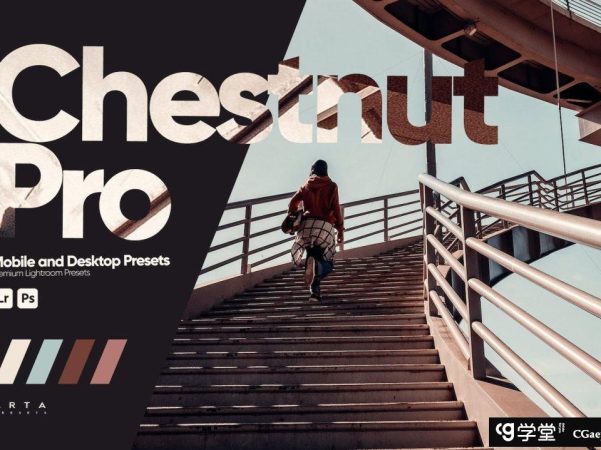 ARTA Presets- 栗色旅拍电影风光LR预设Chestnut Pro Presets for Lightroom