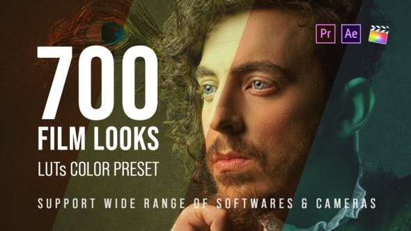 Videohive 25157078 700 Film Looks – LUT Color Preset Pack