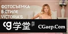 Liveclasses -Alexander Talyuka棚拍维多利亚风格摄影教程-中文字幕