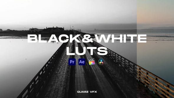 Videohive 39611819 Black&White LUTs Color Presets
