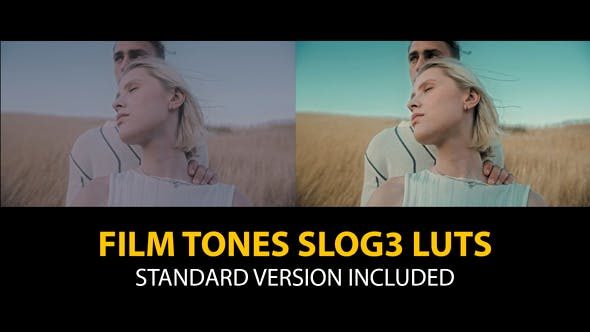 Videohive 40755781 Slog3 Film Tones and Standard LUTs