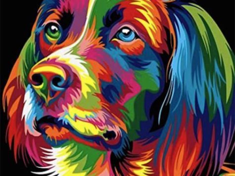 Splash n Recolor for Mac(图像调色处理软件)v4.2中文激活版