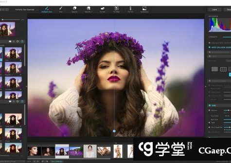 Perfectly Clear WorkBench 4.1.0.2251 多语言