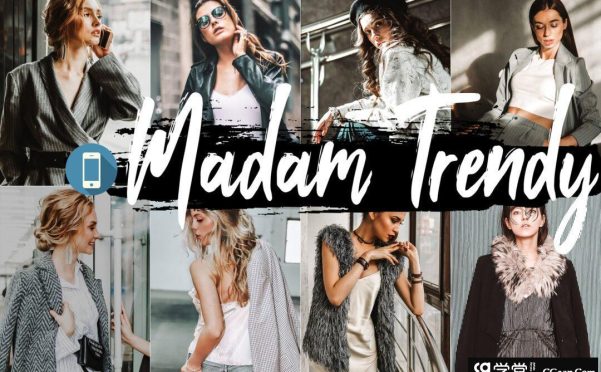 经典INS时尚人像LR预设/移动APP预设 Madam Trendy Lightroom Presets
