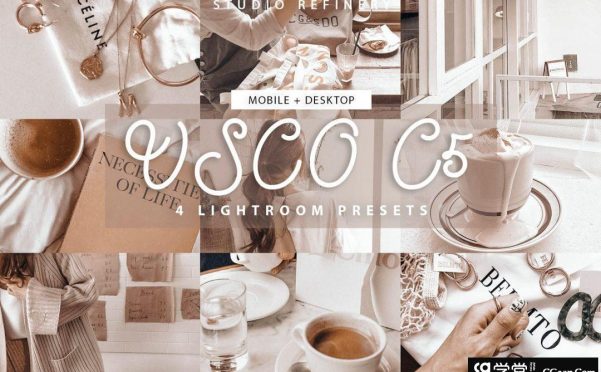 INS人像VSCO C5系列Lightroom预设/移动APP预设 VSCO C5 Lightroom Presets