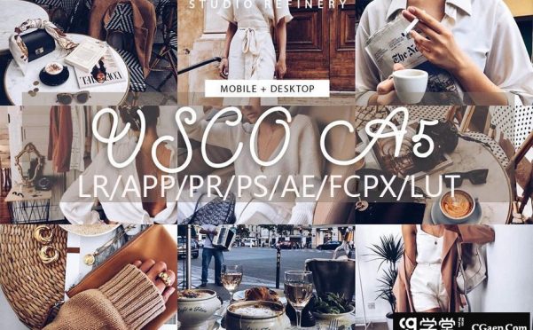 Ins人像VSCO A5电影胶片Lightroom预设/APP预设/PR/PS/AE/FCPX/LUT预设