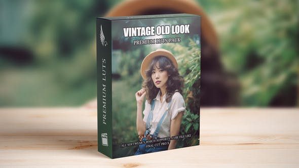 Videohive 49914567 Old Vintage Fujifilm 70s 80s 90s Retro Kodak Gold Cinematic Hollywood Street LUTs