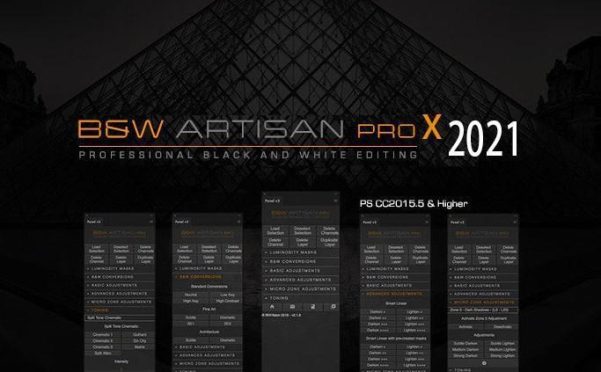 BW Artisan Pro X 2021汉化版|Joel Tjintjelaar风光黑白明度蒙版扩展插件